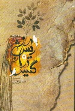 گیس دراز و ریش دراز