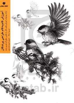 آموزش گام به گام طراحی پرندگان: ارائه جزئیات، اجرای بافت، کار با عکس، خلق اثر هنری زنده