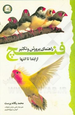 راهنمای پرورش و تکثیر فنچ از ابتدا تا انتها