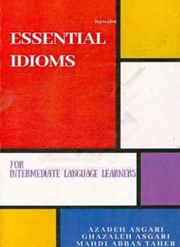 Essential idioms in English: for intermediate language learners