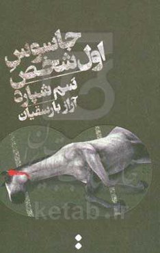 جاسوس اول شخص