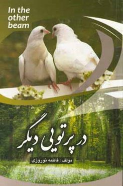 در پرتوی دیگر