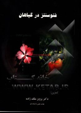 فتوسنتز در گیاهان