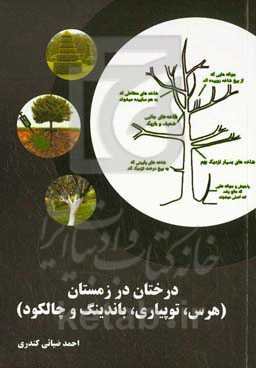 درختان در زمستان (هرس، توپیاری، باندینگ و چالکود)