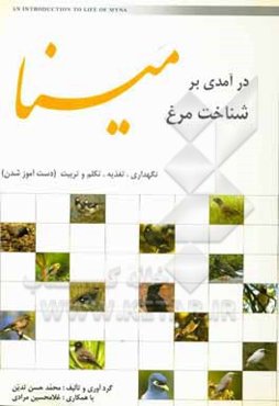 درامدی بر شناخت مرغ مینا: نگهداری، تغدیه، تکلم و تربیت (دست‌آموز شدن)