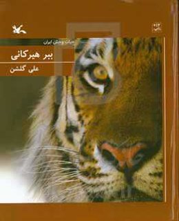 ببر هیرکانی