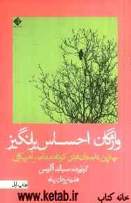 واژگان احساس‌برانگیز: بهترین داستانهای کوتاه معاصر آمریکایی