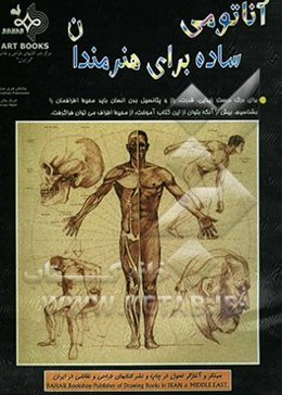 آناتومی ساده برای هنرمندان