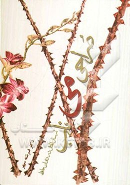 صراحی می ناب: ارسال المثل در دیوان حافظ