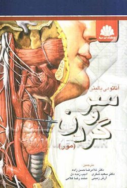 آناتومی سر و گردن بالینی