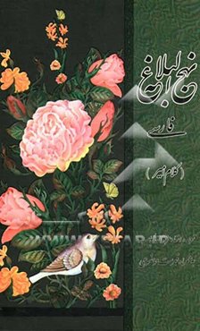 نهج البلاغه: کلام امیر (ع)