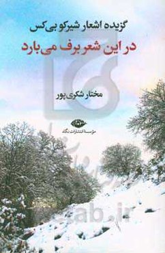 در این شعر برف می‌بارد: گزیده اشعار شیرکو بی‌کس