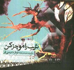 شب را موجز کن مجموعه شعرهای کوتاه