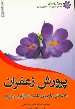 پرورش زعفران: راهنمای کاربردی کاشت تا فرآوری زعفران