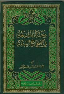 رجال الشیعه فی الصحاح السته