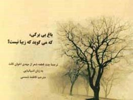 باغ بی‌برگی، که می‌گوید که زیبا نیست؟