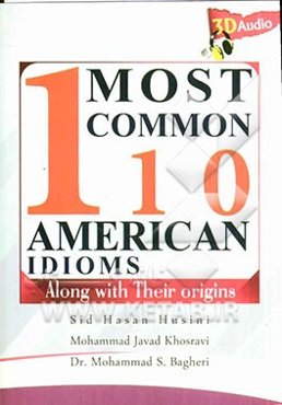 110 Most common American idioms