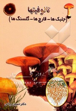 تالوفیت‌ها