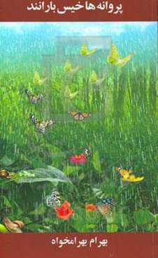 پروانه‌ها خیس بارانند