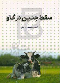 سقط جنین در گاو