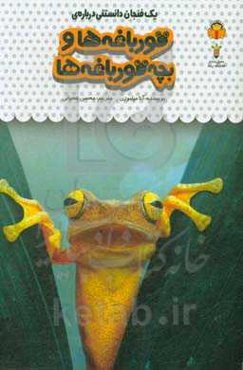 یک فنجان دانستنی درباره‌ی قورباغه‌ها و بچه قورباغه‌ها