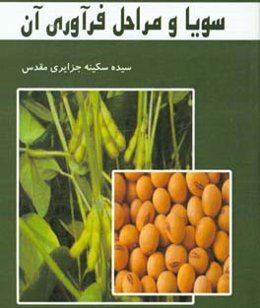 سویا و مراحل فرآوری آن