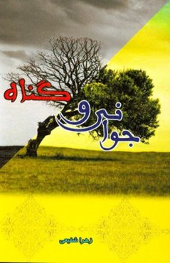 جوانی و گناه