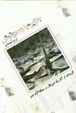 جزیره بدون روتوش: گزیده‌هایی از آثار یک خبرنگار در منطقه آزاد قشم