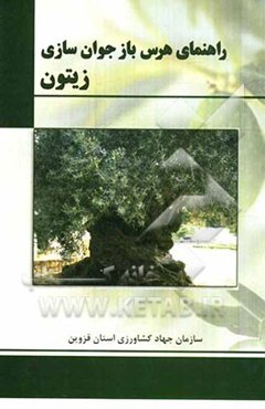 راهنمای هرس بازجوان‌سازی زیتون