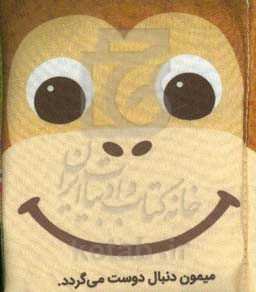 میمون دنبال دوست می گردد