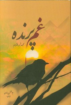 غم پرنده: مجموعه شعر دفتر سوم