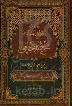 تهذیب الفوائد الضیائیه المشهور: ب "شرح ملا جامی" لکافیه ابن‌الحاجب