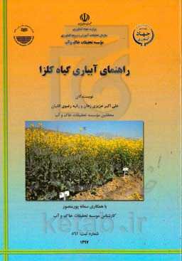 راهنمای آبیاری گیاه کلزا