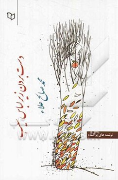 دست بزن زیر لباس سیب!: نوشته‌های پراکنده