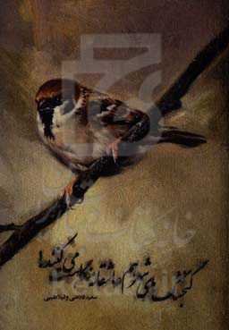 گنجشک‌های شهر هم عاشقانه نگاهت می‌کنند!