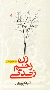 زن، زخم، زندگی