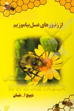 از زنبورهای عسل بیاموزیم