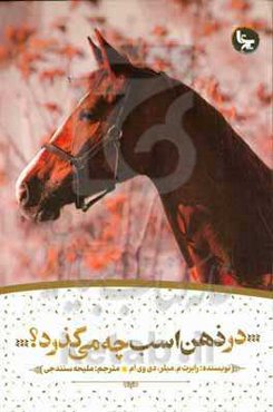 در ذهن اسب چه می‌گذرد؟ (رفتارشناسی)