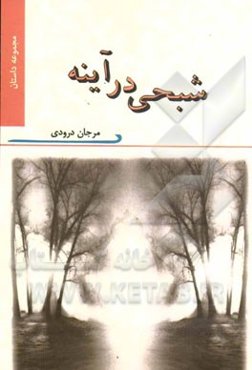 شبحی در آینه: مجموعه داستان