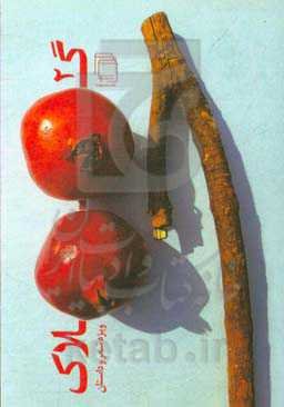 گلاک 2: ویژه‌ی شعر و داستان