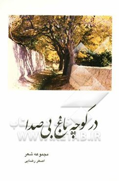 در کوچه باغ بی‌صدا