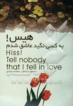 هیس! به کسی نگید عاشق شدم: مجموعه شعر
