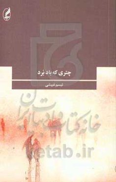 چتری که باد برد (مجموعه داستان)