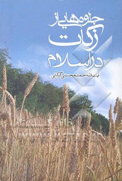 جلوه‌هایی از زکات در اسلام