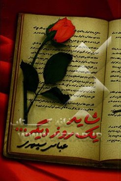 شاید یک روز دیگر