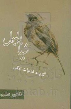 شیدا بولبول (گزیده غزلیات ترکی)