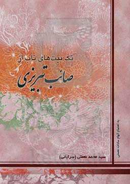 تک بیت‌های ناب از صائب تبریزی