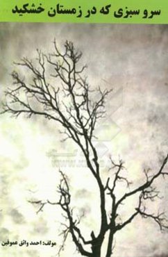 سرو سبزی که در زمستان خشکید