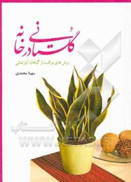 گلستانی درخانه: روش‌های مراقبت از گیاهان آپارتمانی