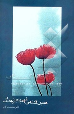 همین قدر می‌فهمیدم از جنگ: مجموعه شعر